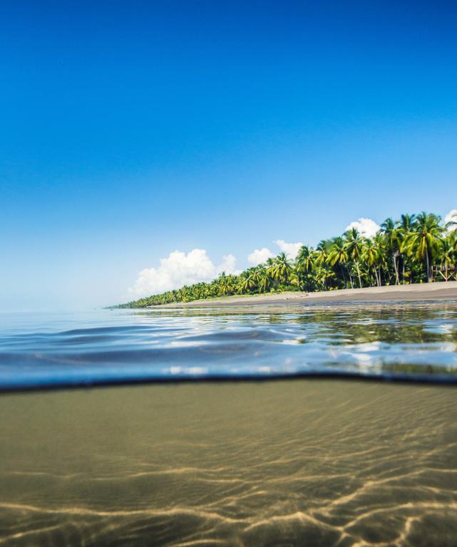 Clandestino Beach Resort Parrita Bagian luar foto