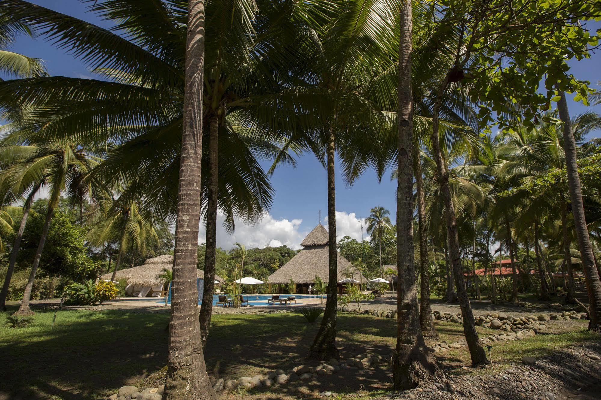 Clandestino Beach Resort Parrita Bagian luar foto