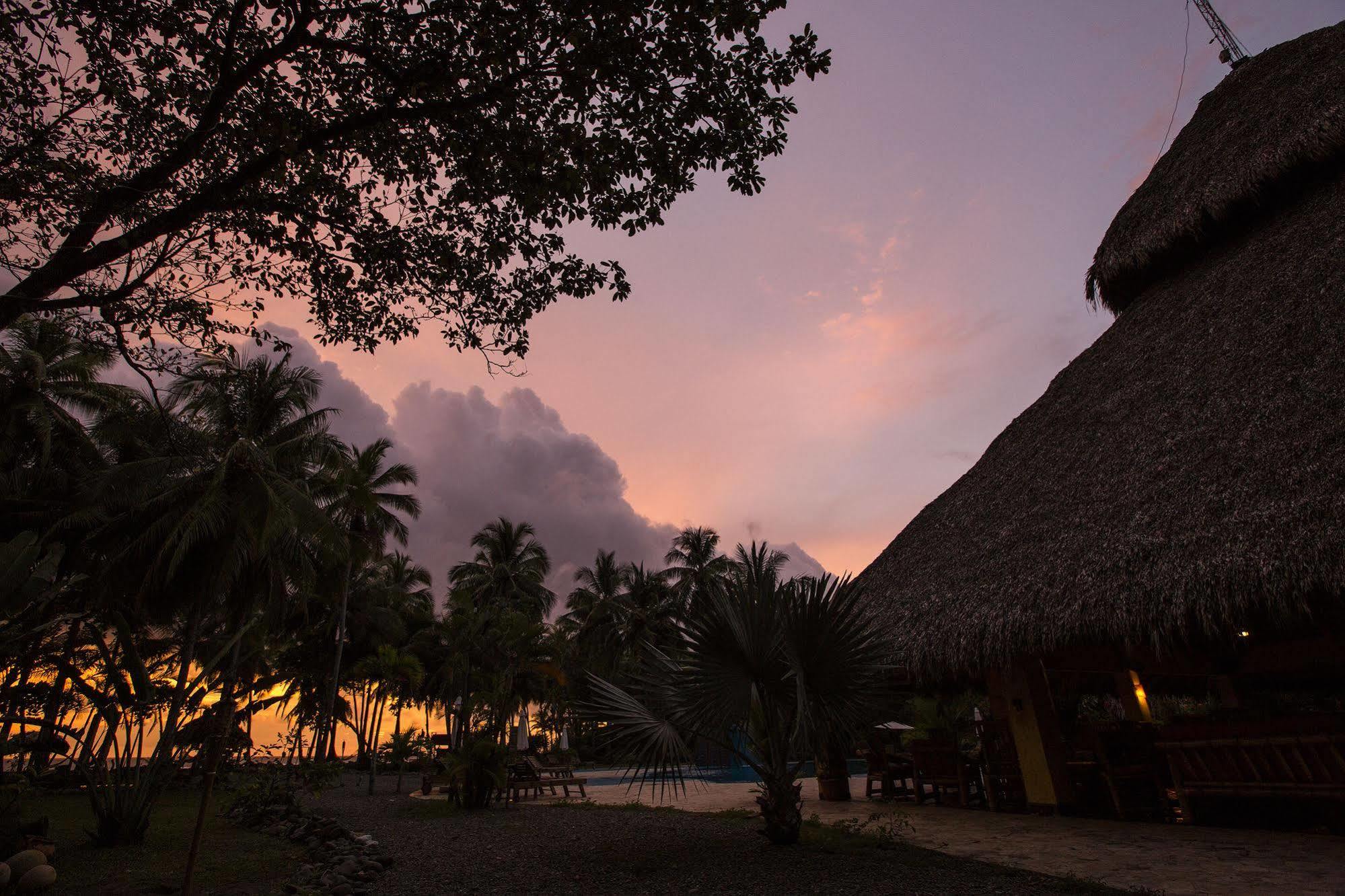 Clandestino Beach Resort Parrita Bagian luar foto