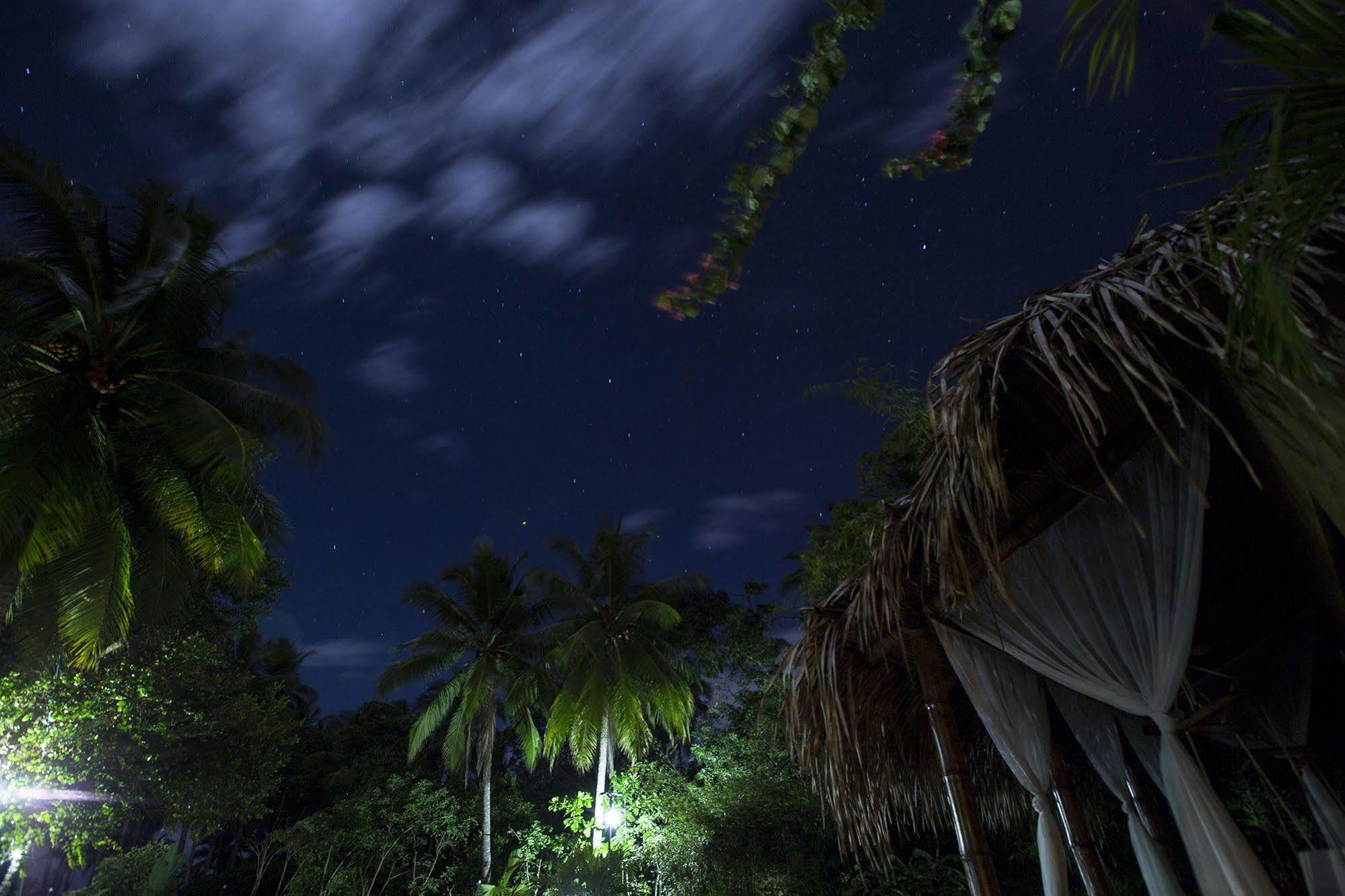 Clandestino Beach Resort Parrita Bagian luar foto