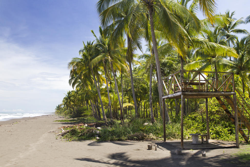Clandestino Beach Resort Parrita Bagian luar foto
