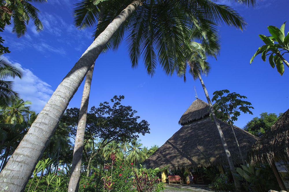 Clandestino Beach Resort Parrita Bagian luar foto